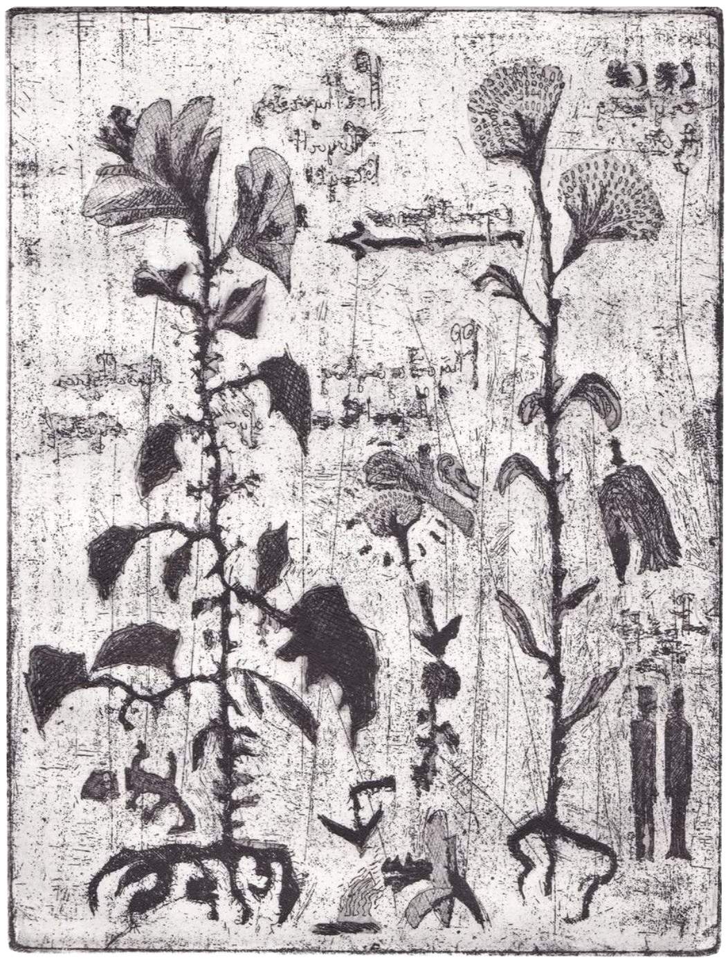 Image du projet Herbier