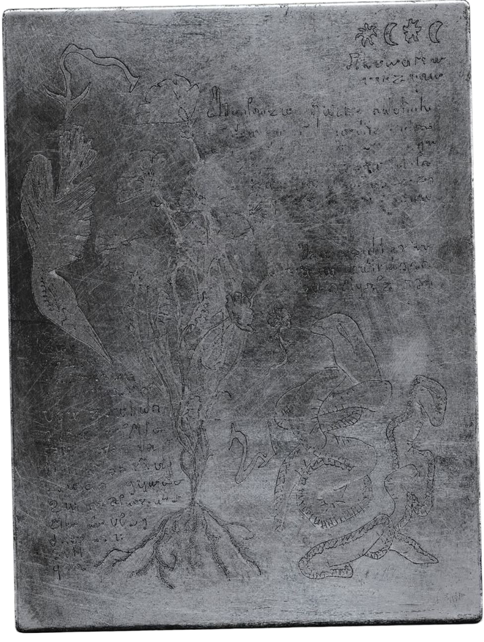 Image du projet Herbier