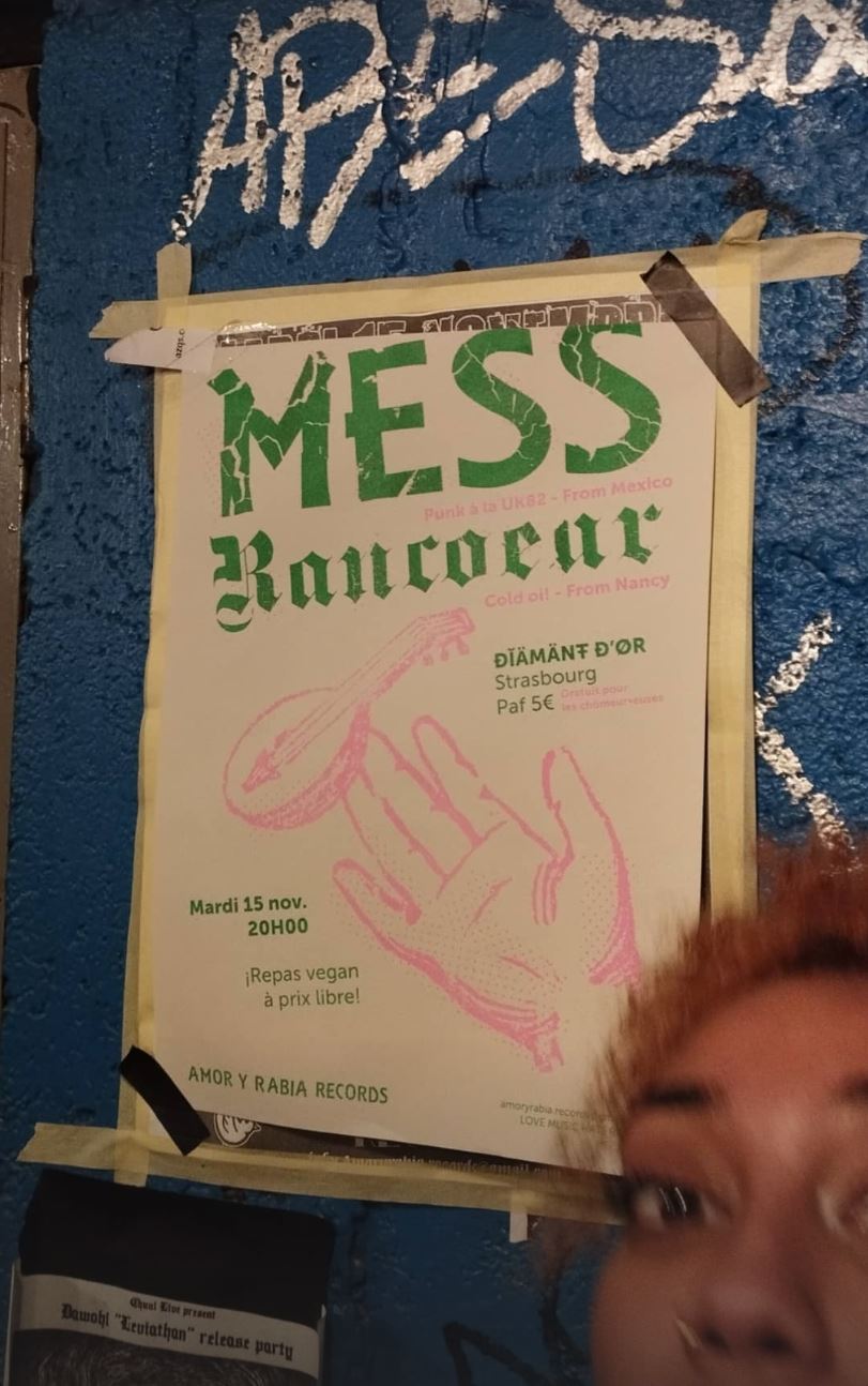 Image du projet Mess affiche